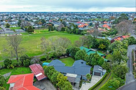 Photo of property in 47 Alfred Street, Roslyn, Palmerston North, 4414
