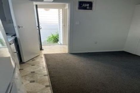 Photo of property in 45 Apuka Street, Brooklyn, Wellington, 6021