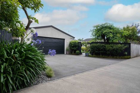 Photo of property in 123 Avenue Road, Greenmeadows, Napier, 4112