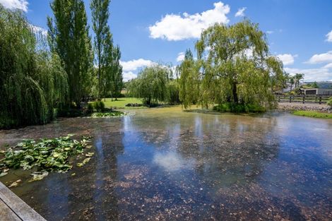 Photo of property in 102d Maungakawa Road, Cambridge, 3496