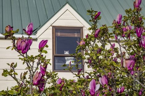 Photo of property in 18 Tapu Road, Huapai, Kumeu, 0810