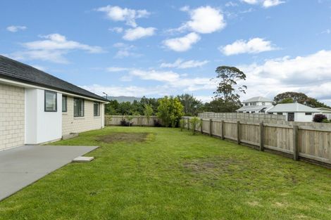Photo of property in 40 Tynan Street, Te Puke, 3119