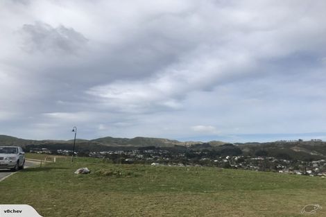 Photo of property in 167 John Burke Drive, Aotea, Porirua, 5024