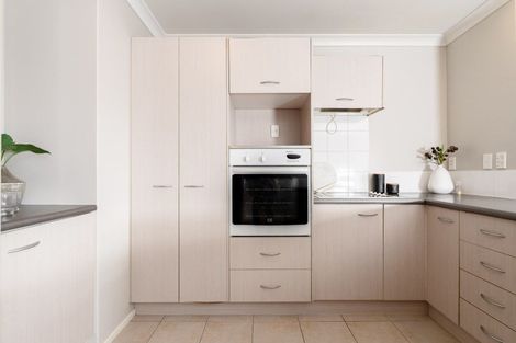 Photo of property in 438d Tristram Street, Whitiora, Hamilton, 3200