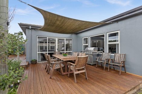 Photo of property in 113 Hunter Drive, Awatoto, Napier, 4110