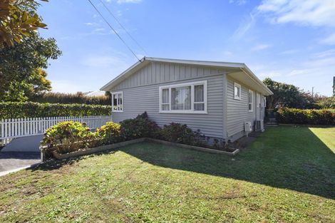 Photo of property in 1 Clyde Street, Ferndale, New Plymouth, 4310
