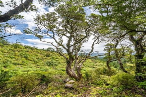 Photo of property in 72 Avro Road, Blue Mountains, Upper Hutt, 5371