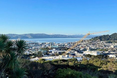 Photo of property in 3 Asquith Terrace, Brooklyn, Wellington, 6021