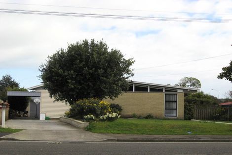 Photo of property in 251 Cambridge Street, Levin, 5510