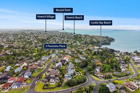 Photo of property in 3 Pounamu Place, Shelly Park, Auckland, 2014