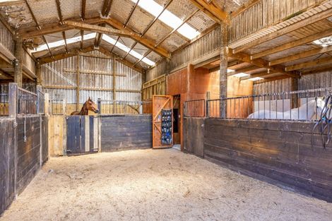 Photo of property in 1 Waingongoro Road, Cardiff, Stratford, 4391