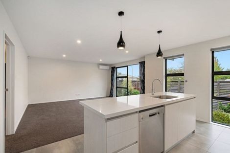 Photo of property in 53b Grafton Street, Waltham, Christchurch, 8011