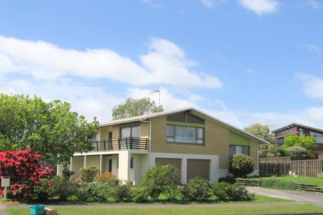 Photo of property in 53 Young Street, Morrinsville, 3300