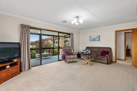 Photo of property in 61e Playfair Street, Caversham, Dunedin, 9012