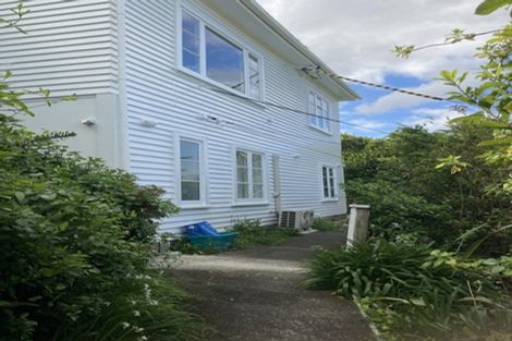 Photo of property in 93 Balfour Street, Mornington, Wellington, 6021