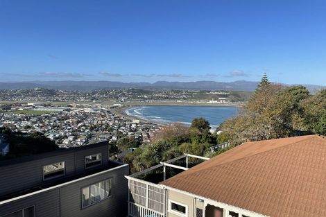 Photo of property in 51 Hornsey Road, Melrose, Wellington, 6023