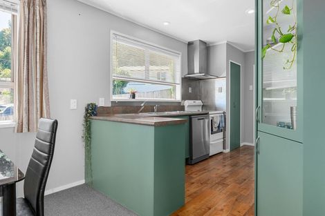 Photo of property in 16 Rothesay Place, Dinsdale, Hamilton, 3204