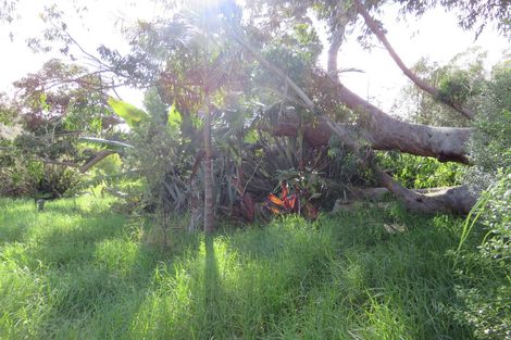 Photo of property in 1165 Waiotehue Road, Broadwood, Kaitaia, 0481