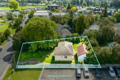 Photo of property in 21 Smythe Road, Henderson, Auckland, 0612