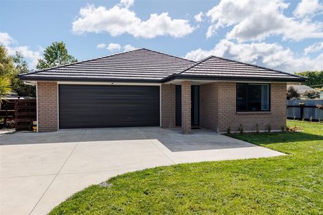 Photo of property in 176b Chapel Street, Masterton, 5810