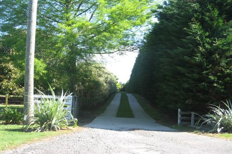 Photo of property in 554a Old Highway, Whakamarama, Tauranga, 3180
