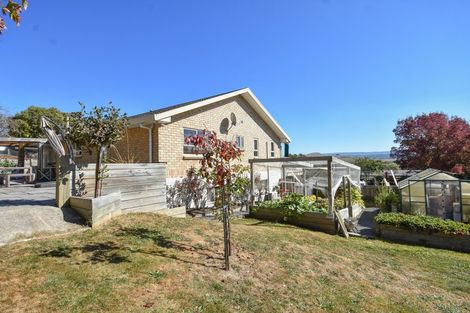 Photo of property in 76 Greenwich Street, Waihola, Milton, 9073