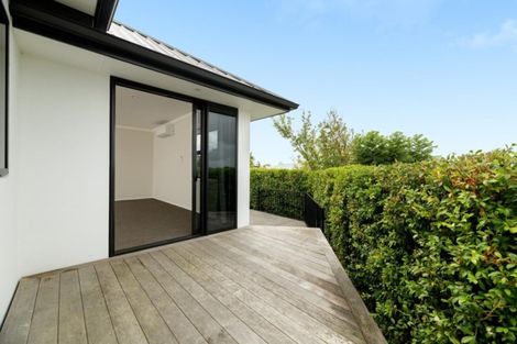 Photo of property in 4a Regent Street, Brookfield, Tauranga, 3110