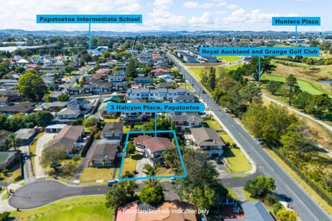 Photo of property in 3 Halcyon Place, Papatoetoe, Auckland, 2025