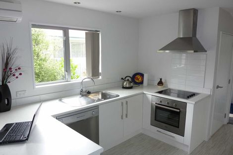 Photo of property in 17 Antrim Street, Sydenham, Christchurch, 8023