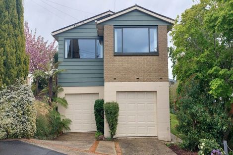 Photo of property in 135 Balmacewen Road, Wakari, Dunedin, 9010