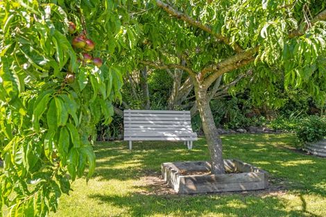 Photo of property in 49 Princes Street, Waikari, 7420