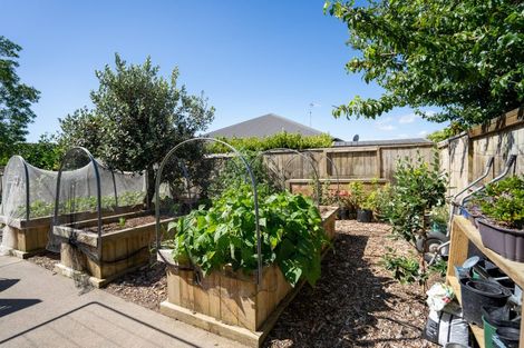 Photo of property in 6a Madison Street, Cambridge, 3434