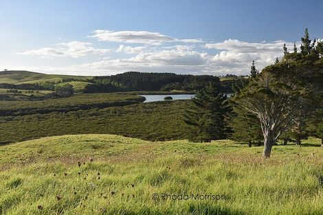 Photo of property in 21 Matahehe Lane, Tinopai, 0593