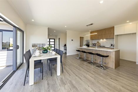 Photo of property in 9 Catherine Mclean Road, Pukekohe, 2120