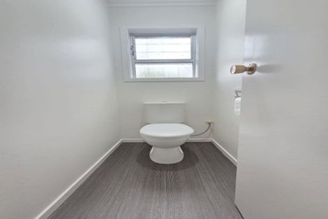 Photo of property in 158 Hutchinson Avenue, New Lynn, Auckland, 0600