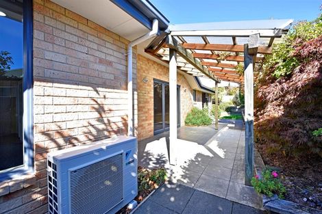 Photo of property in 9 Lobank Place, Richmond, 7020