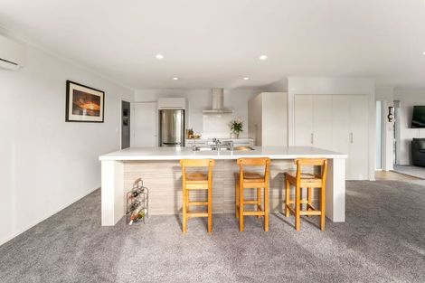 Photo of property in 93 Washbourn Drive, Richmond, 7020