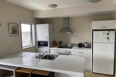 Photo of property in 3c Papawai Terrace, Mount Cook, Wellington, 6021