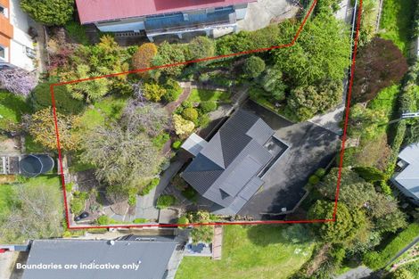 Photo of property in 18 Kevin Street, Mornington, Dunedin, 9011
