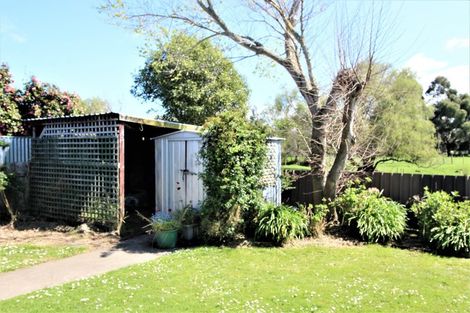 Photo of property in 81 Fergusson Street, Woodville, 4920