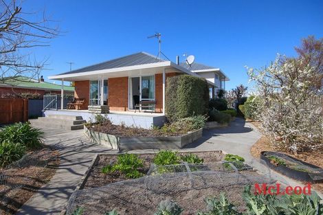 Photo of property in 163 Harland Street, Tinwald, Ashburton, 7700