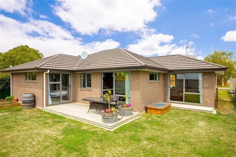 Photo of property in 13 Kirk Street, Renwick, 7204