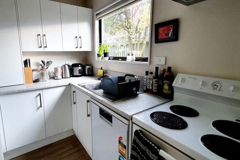 Photo of property in 4/19 Grove Road, Addington, Christchurch, 8024