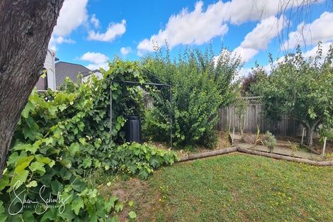 Photo of property in 6 Ash Grove, Maungaturoto, 0520