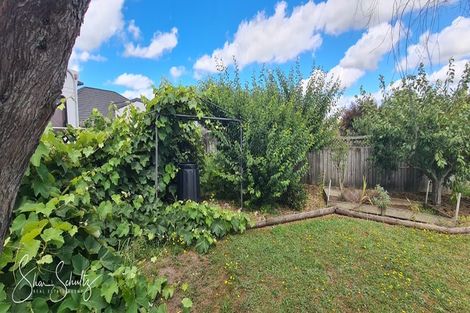 Photo of property in 6 Ash Grove, Maungaturoto, 0520