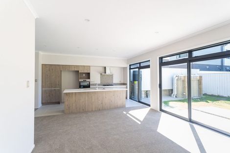 Photo of property in 9 Tuatua Road, Hobsonville, Auckland, 0616