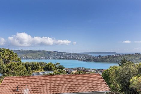Photo of property in 146 Conclusion Street, Ascot Park, Porirua, 5024