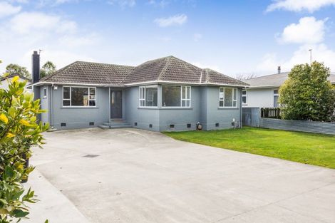 Photo of property in 345 Tremaine Avenue, Takaro, Palmerston North, 4412