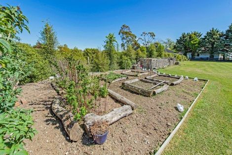 Photo of property in 3 Showground Place, Leeston, 7632