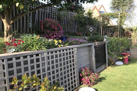 Photo of property in 20 Jonathon Street, Brookfield, Tauranga, 3110